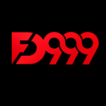 D999 game