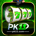 pak11 game